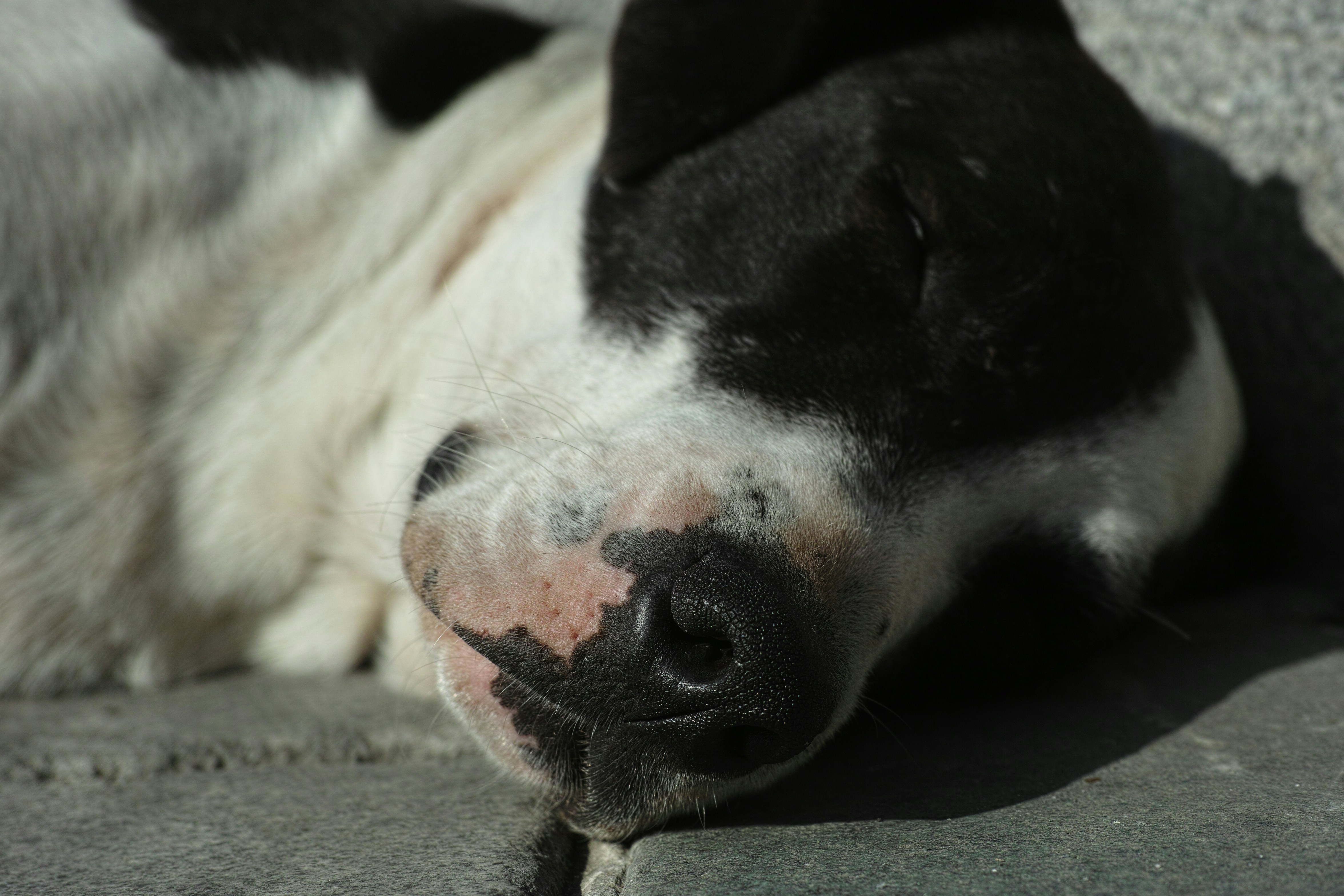 Photo by enginakyurt