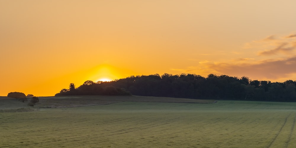 Grüne Bäume neben dem Gewässer während des Sonnenuntergangs