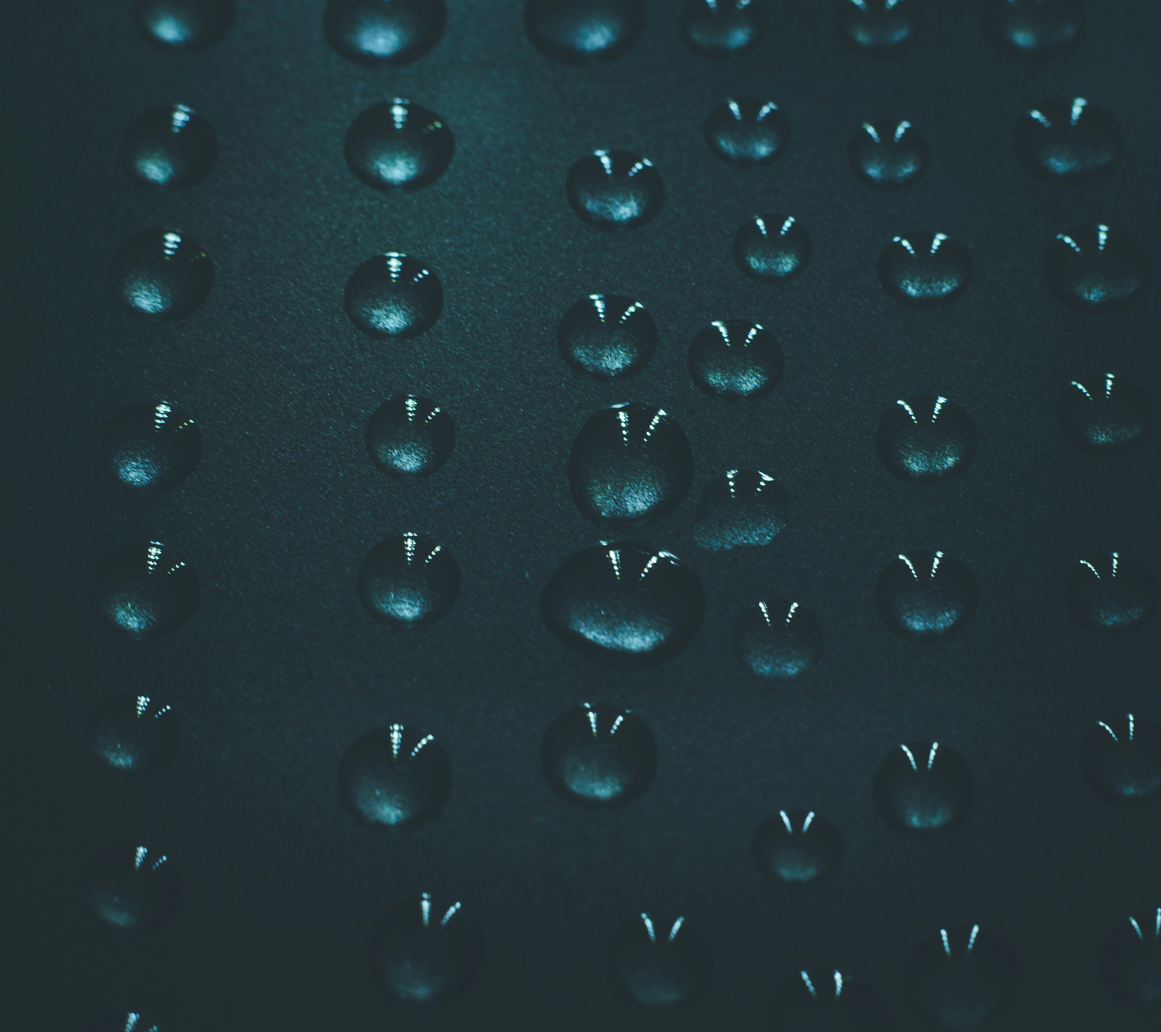 Photo by wildandbeyondbyvivek