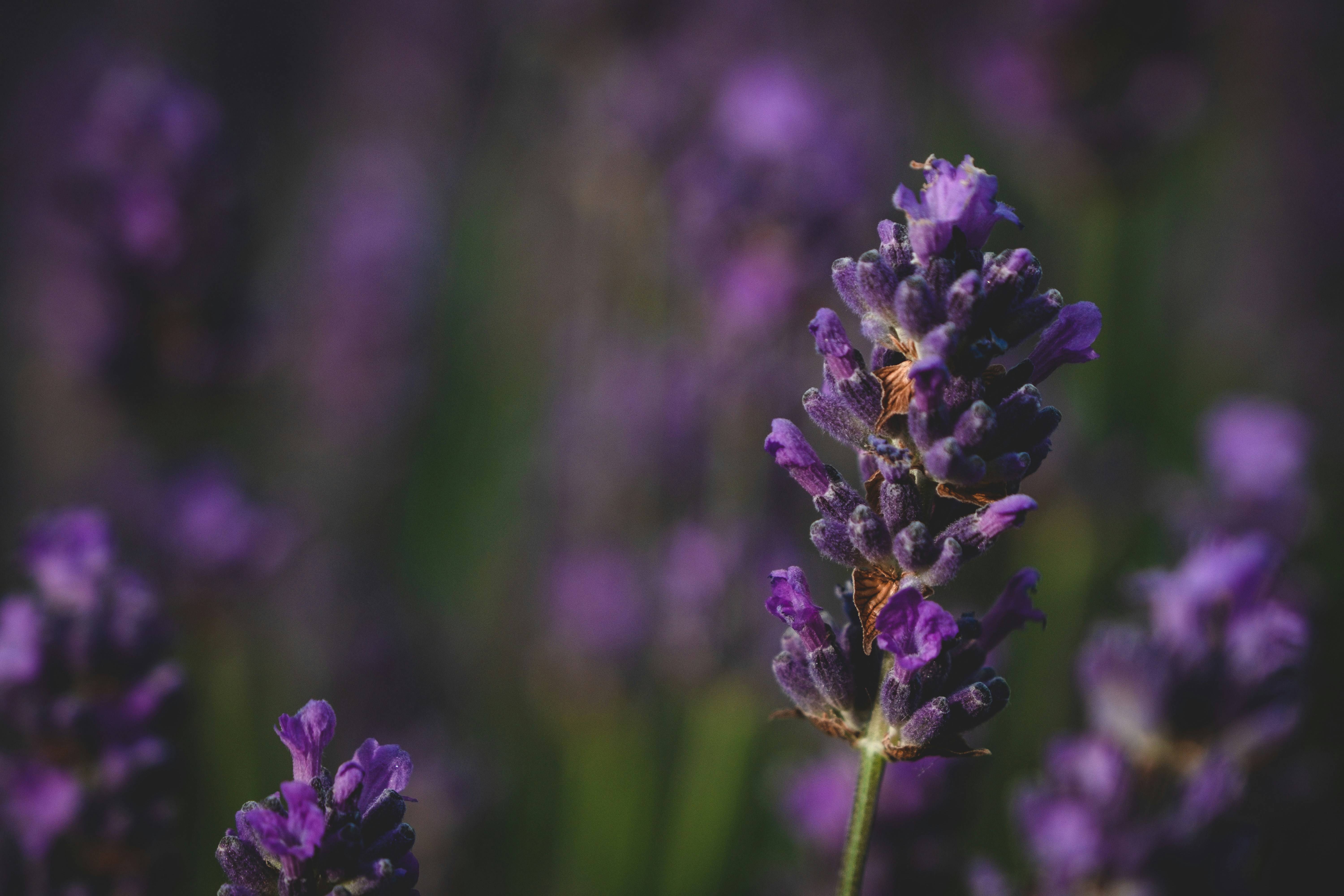 Photo by robinmathlener