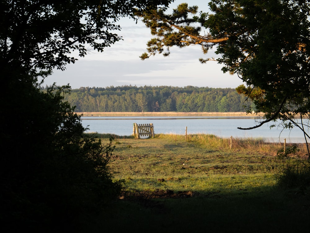 Banc en bois brun sur un champ d’herbe verte près du lac pendant la journée