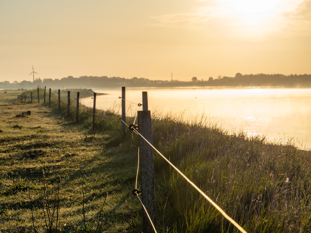 green grass field near body of water during daytime