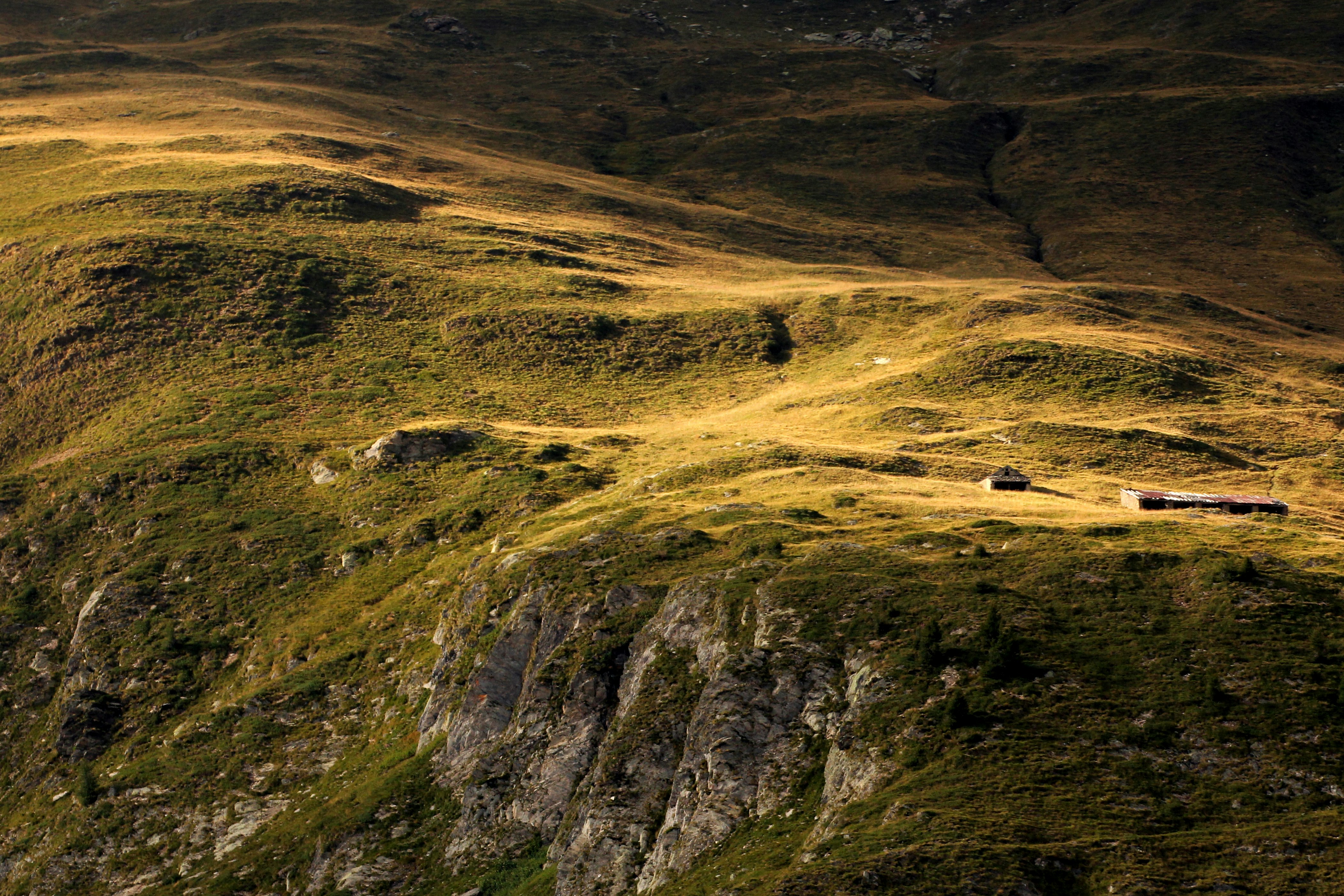 green and brown mountain during daytime