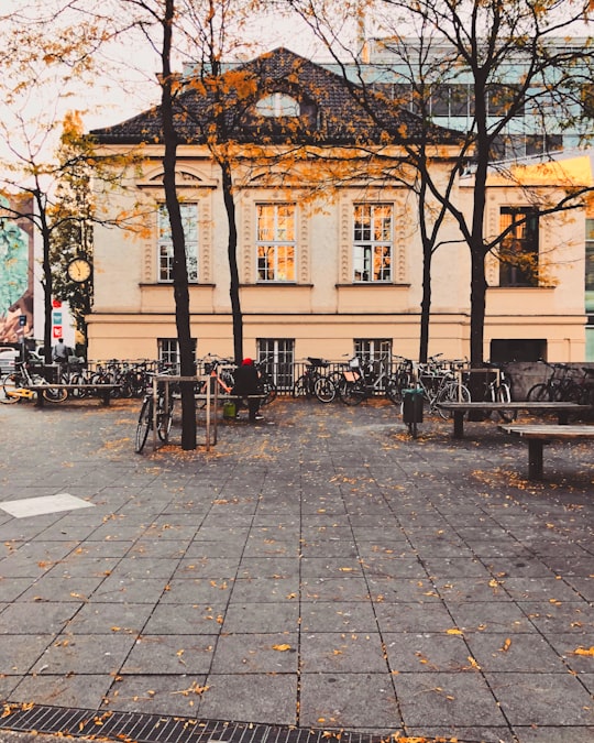 people sitting on bench near brown concrete building during daytime in Ludwigsvorstadt-Isarvorstadt Germany