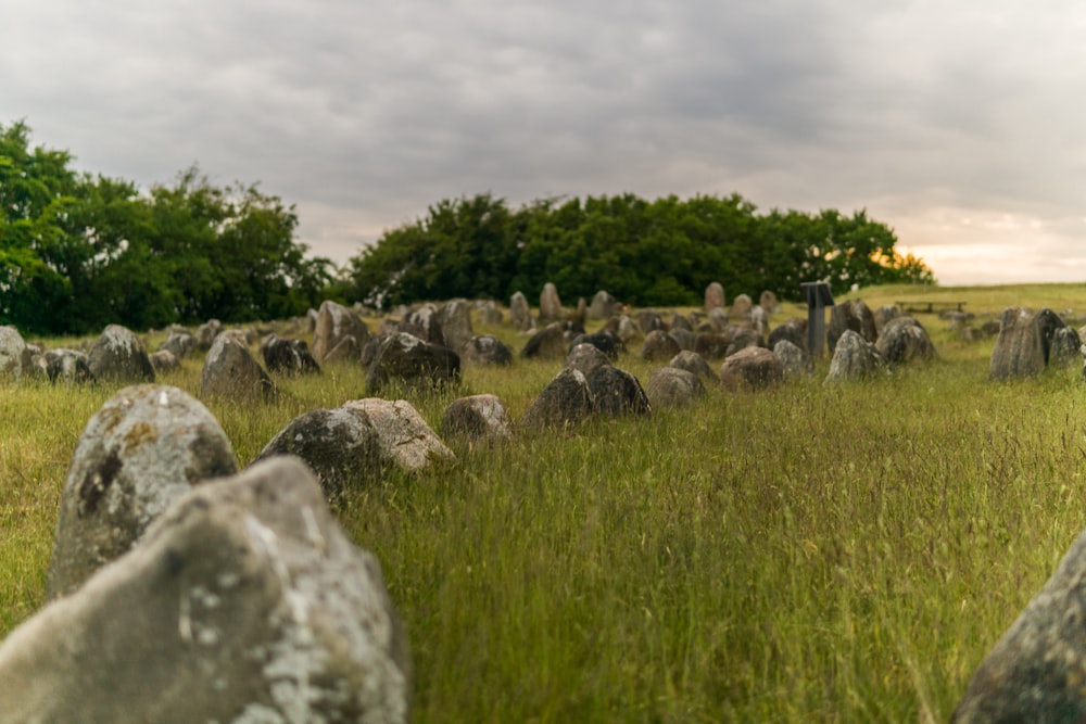 gray rocks on green grass field under gray cloudy sky during daytime