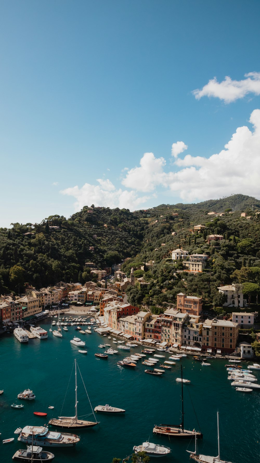 Veduta aerea degli edifici della città vicino allo specchio d'acqua durante il giorno