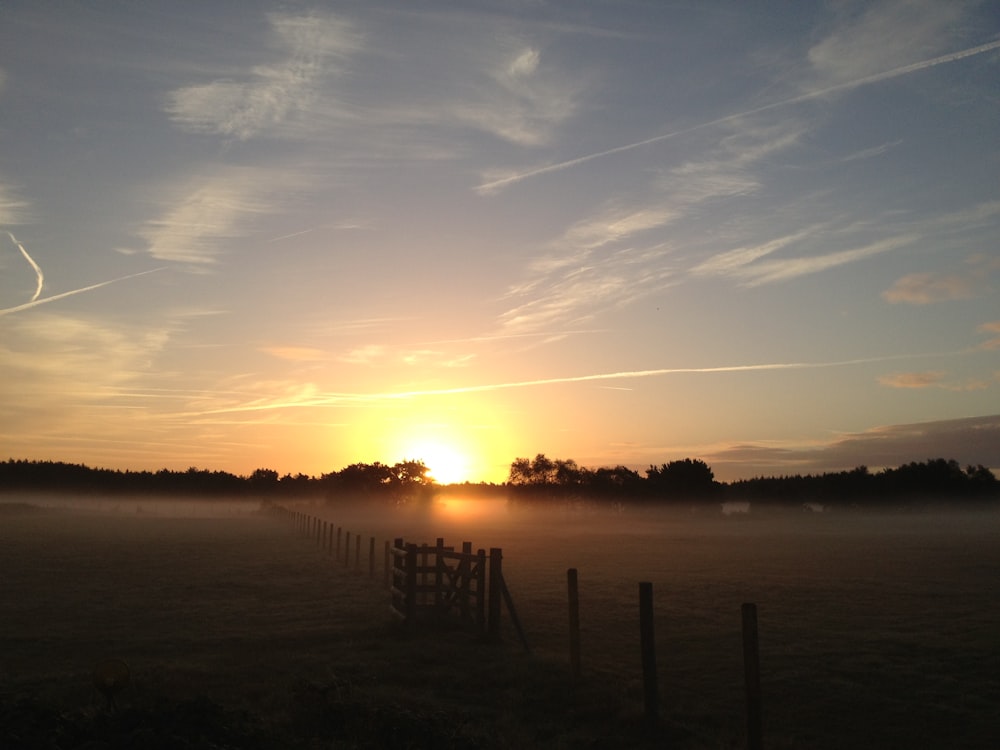 Silhouette von Bäumen in der Nähe von Gewässern bei Sonnenuntergang