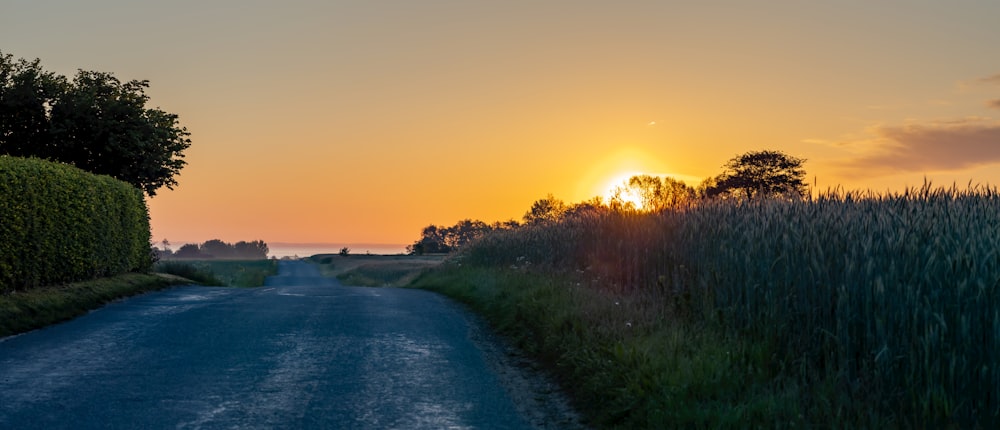 green grass field near body of water during sunset