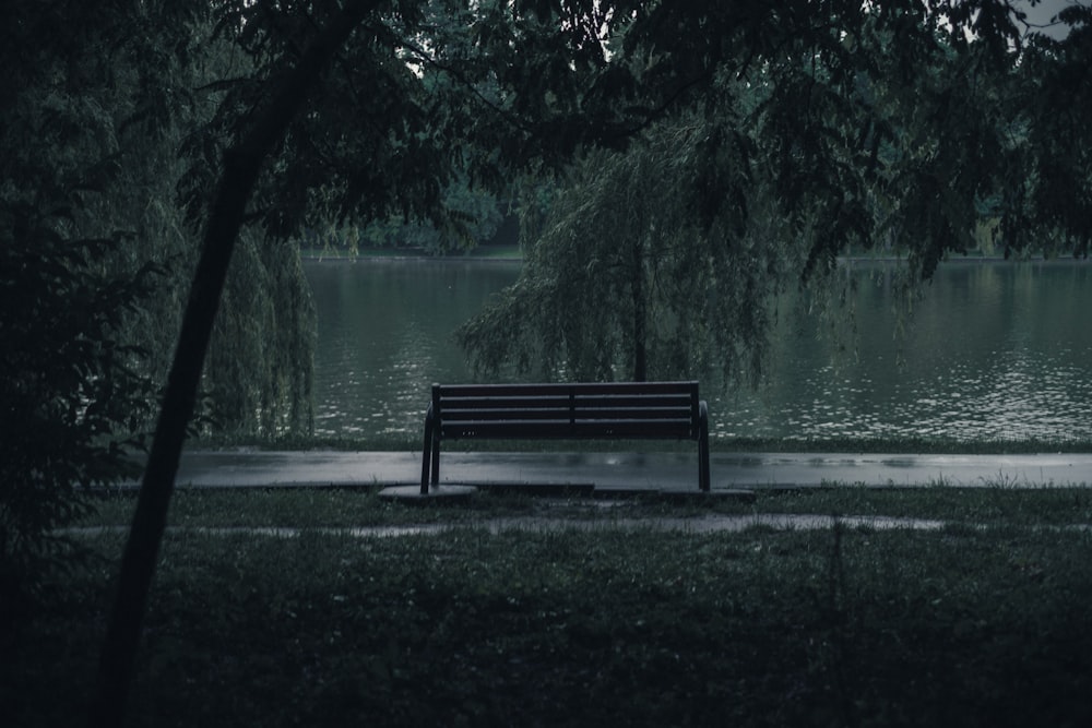 black wooden bench near lake