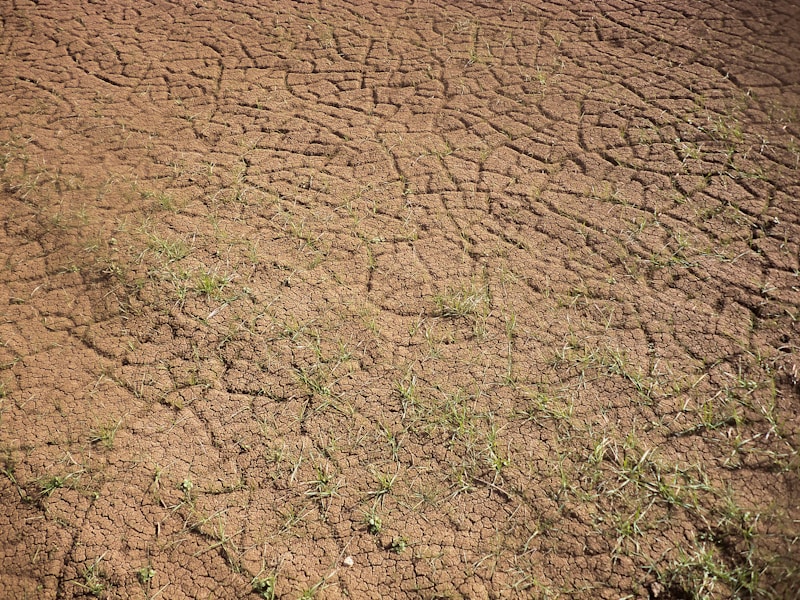 Indian Ground