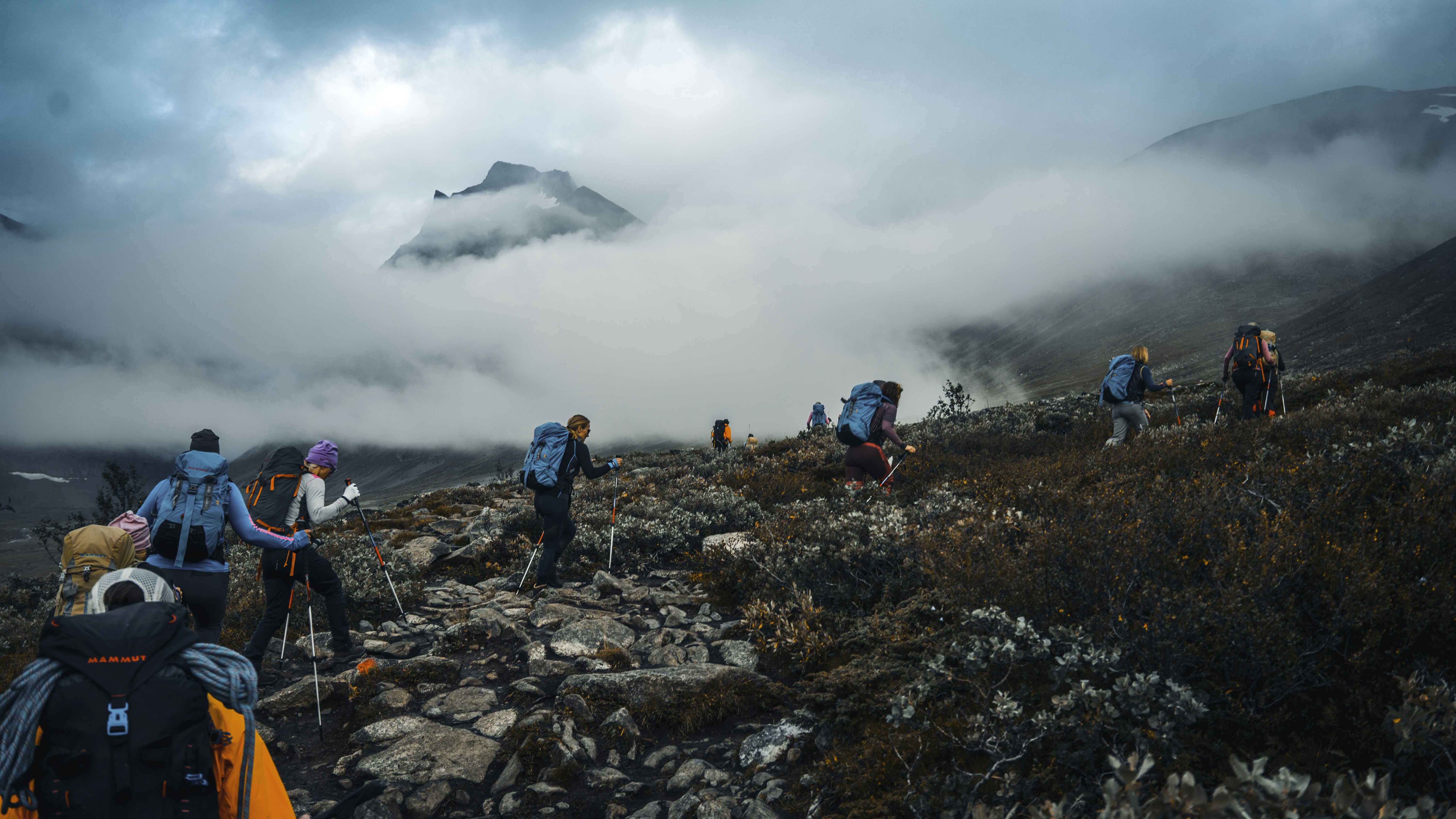 Photo by karljkhedin