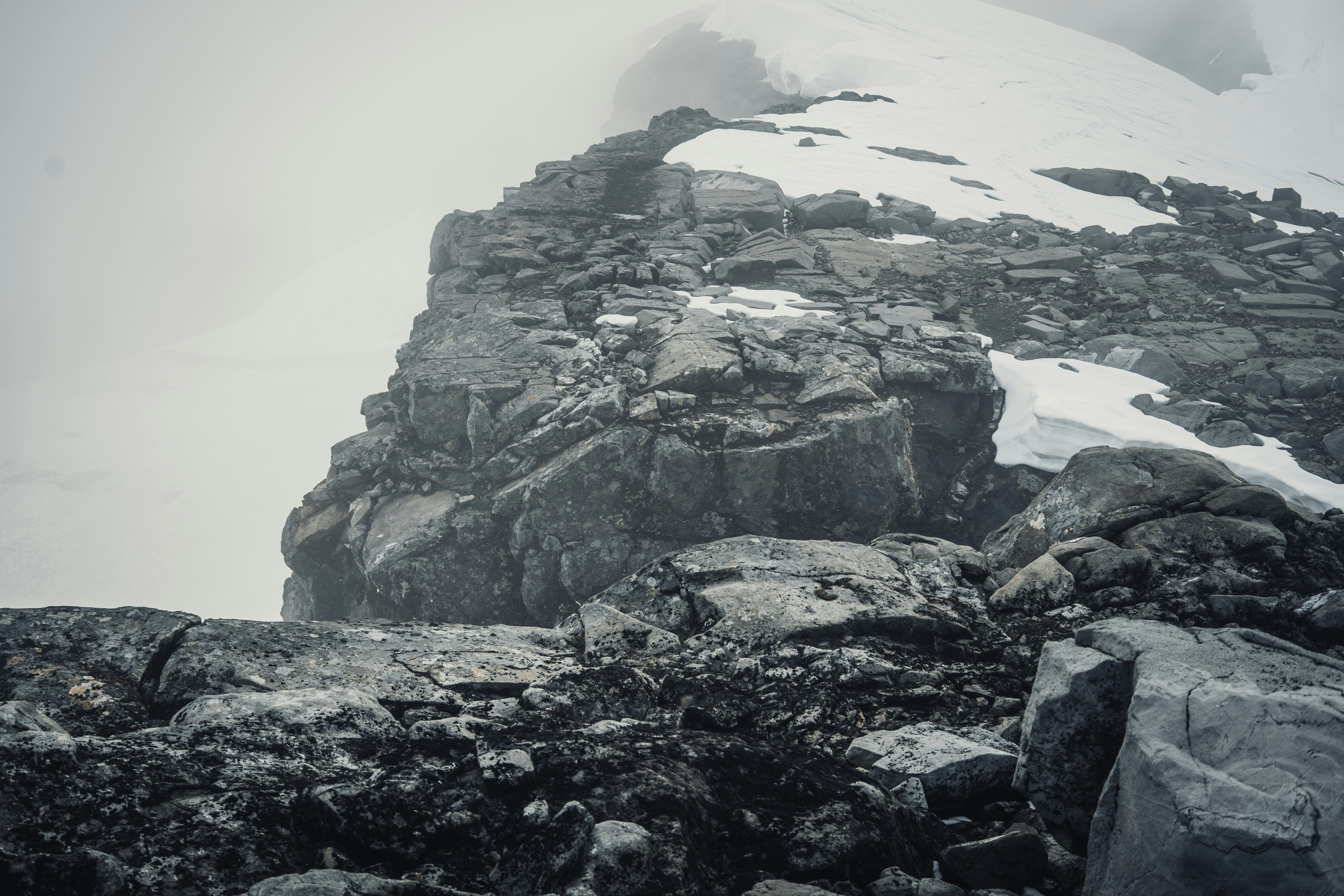 Photo by karljkhedin