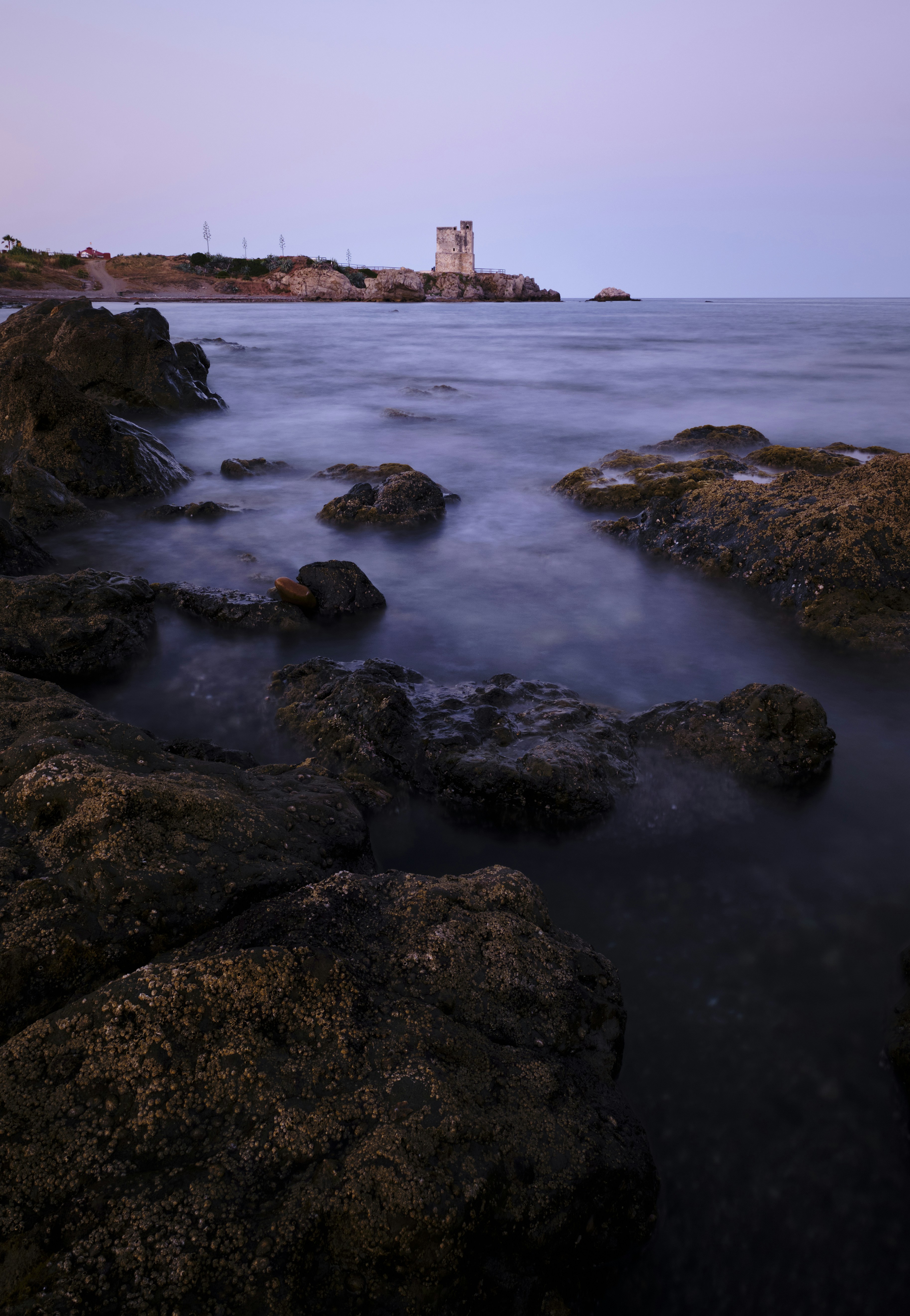 Photo by victor_vector