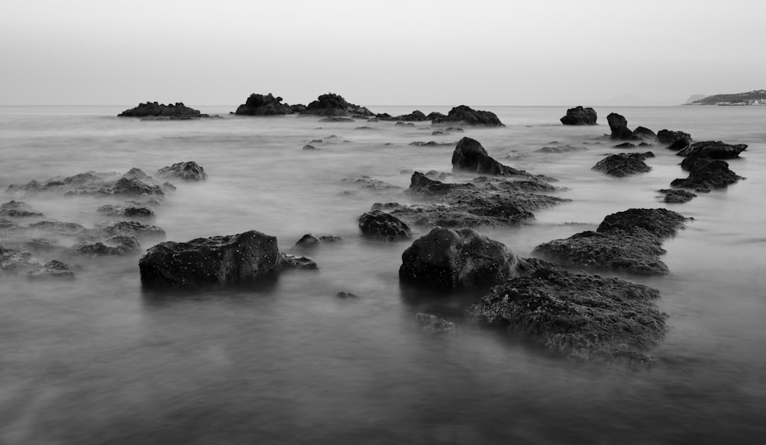 grayscale photo of rocky shore