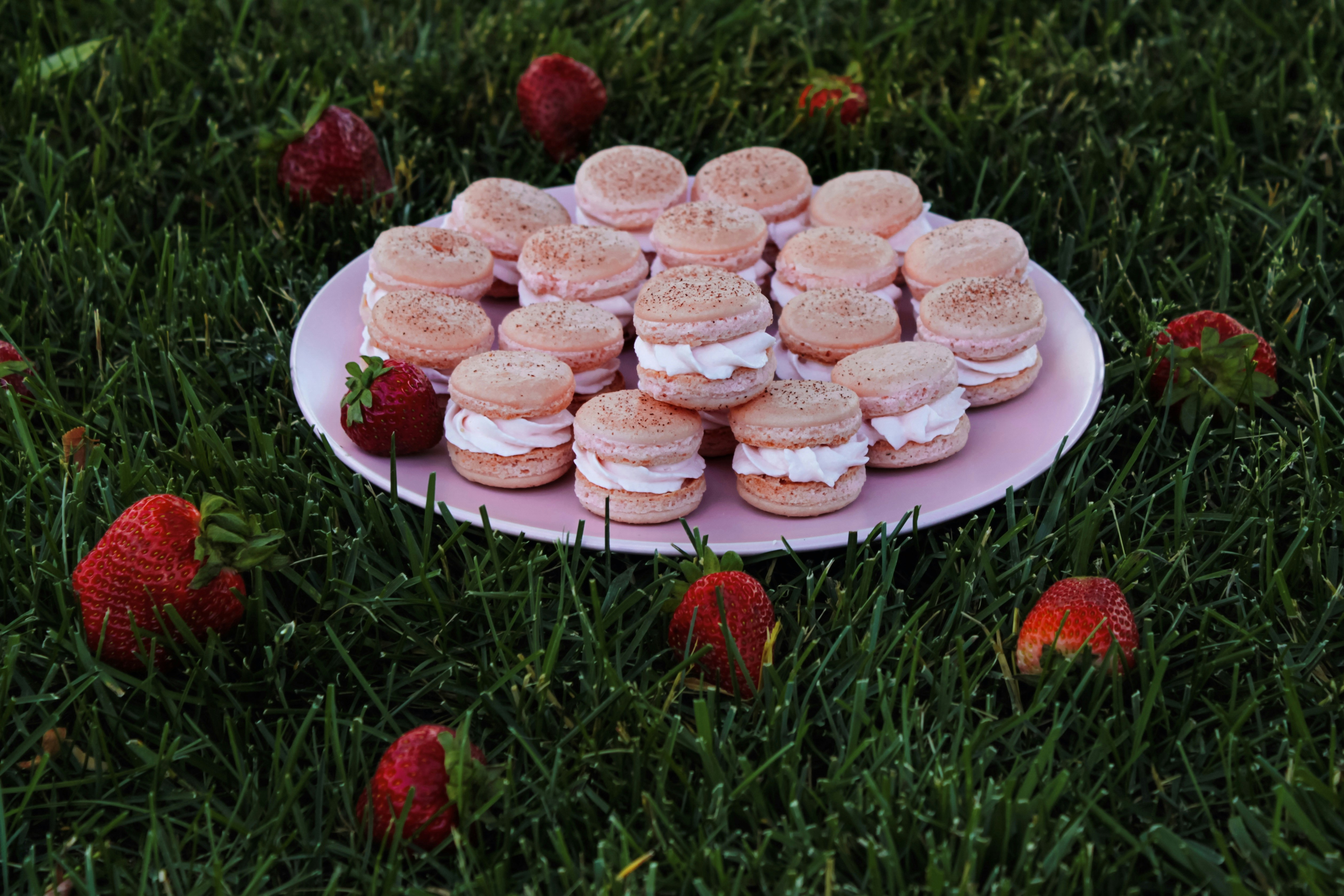 Photo by vasylyna_7010