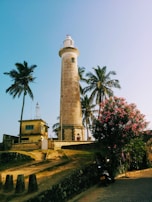 white and brown lighthouse near green trees during daytime