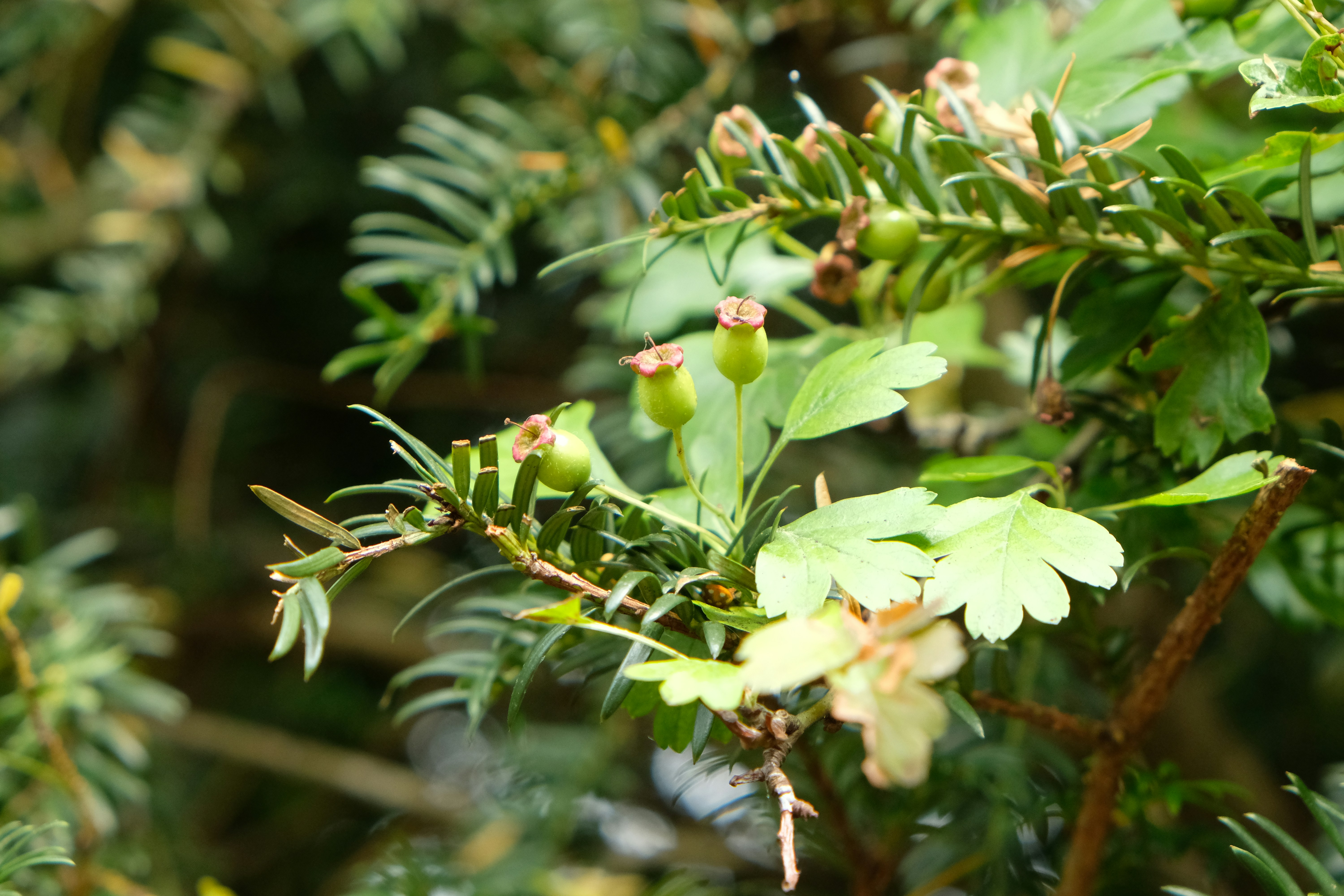 Photo by jay_kettle_williams