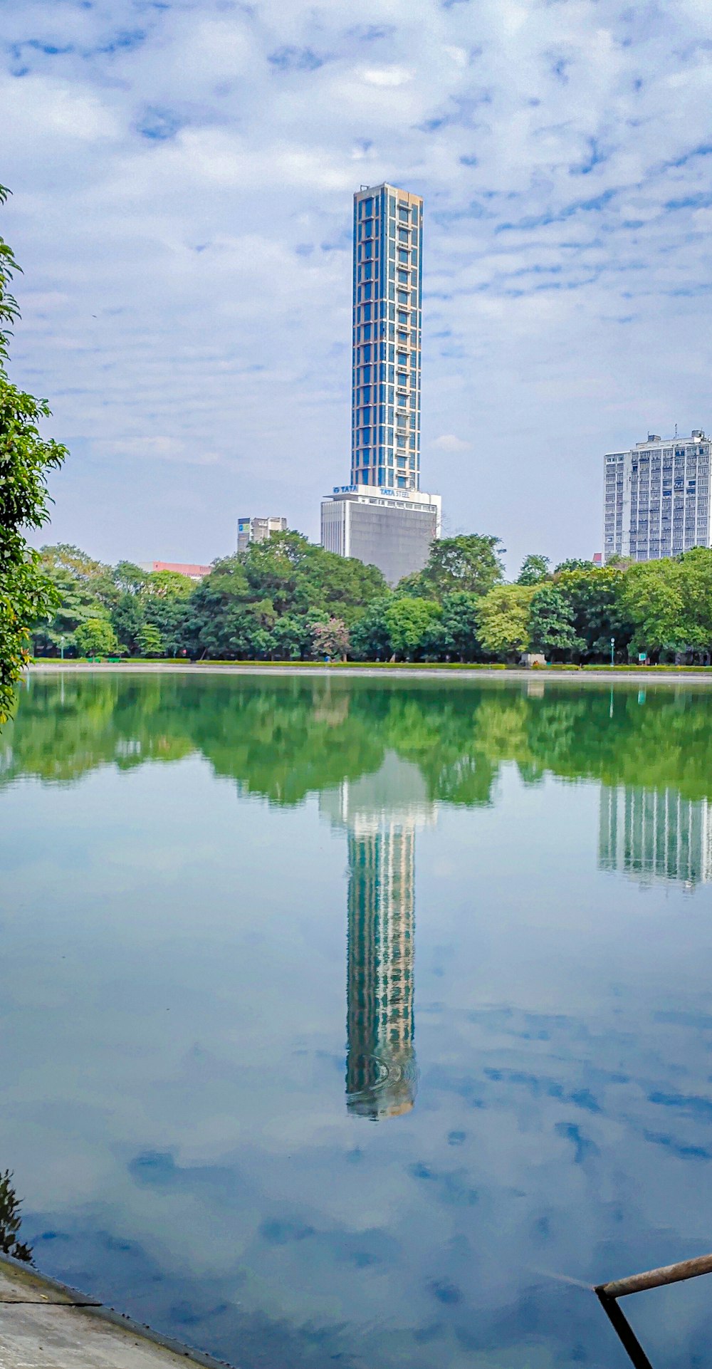 green trees near body of water during daytime