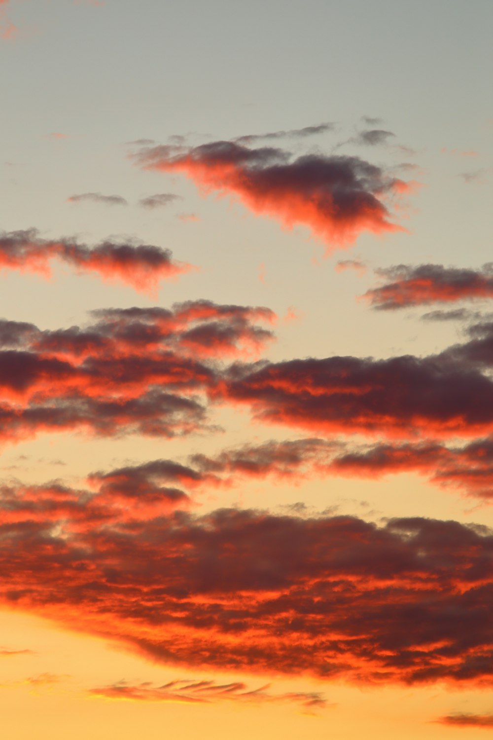 Nubes anaranjadas y grises durante la puesta de sol