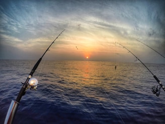 Fishing rods are positioned over a calm sea at sunset, with the sun descending near the horizon casting warm colors across the sky and water.