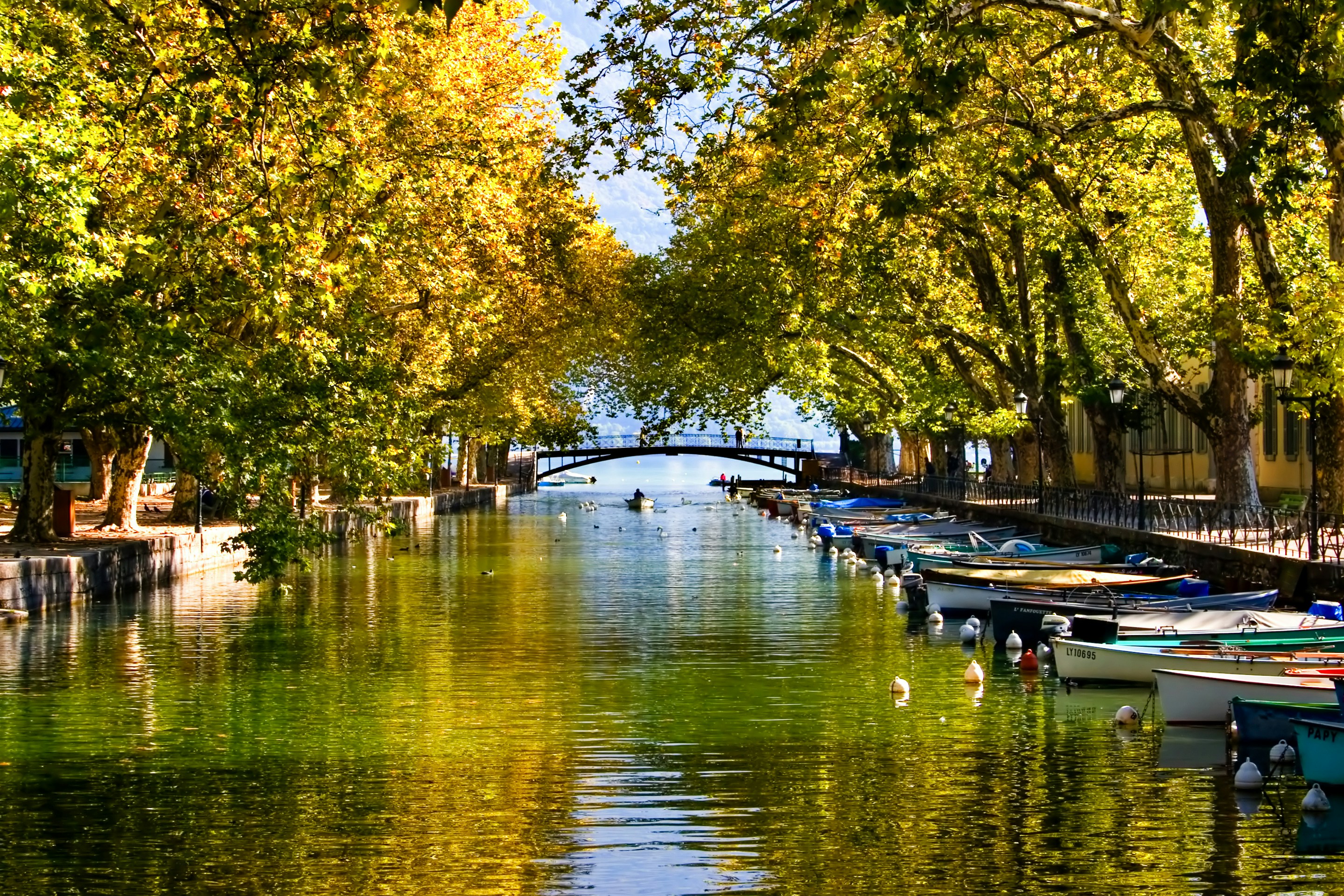 boat on river near trees during daytime