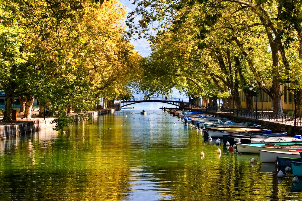 Boot auf dem Fluss in der Nähe von Bäumen während des Tages