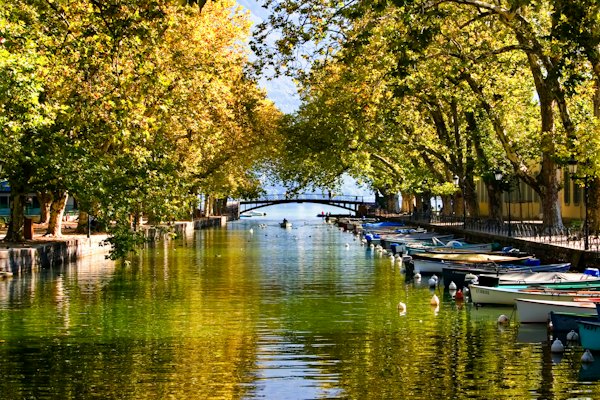 Boat on river near trees during daytime — Annecy, France