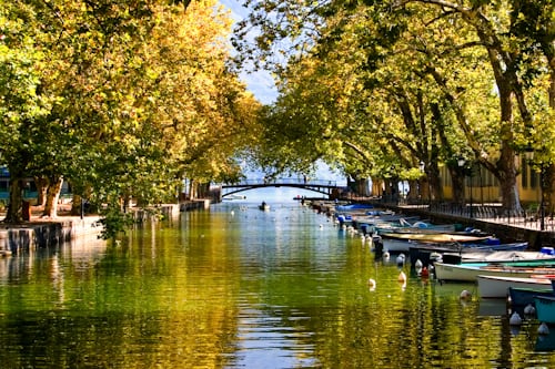Canal du bord d'Annecy