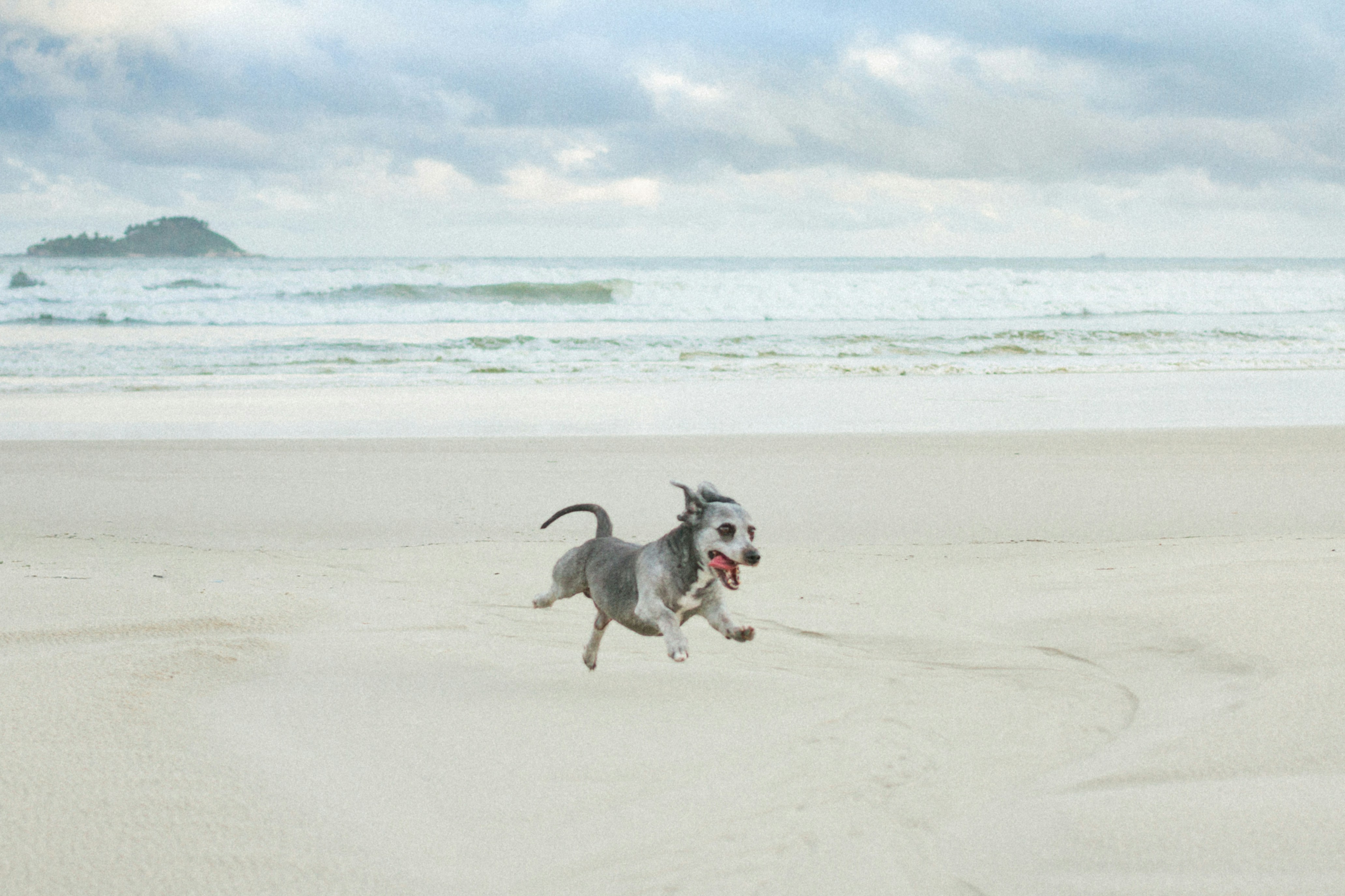 Greyhound Rock Beach