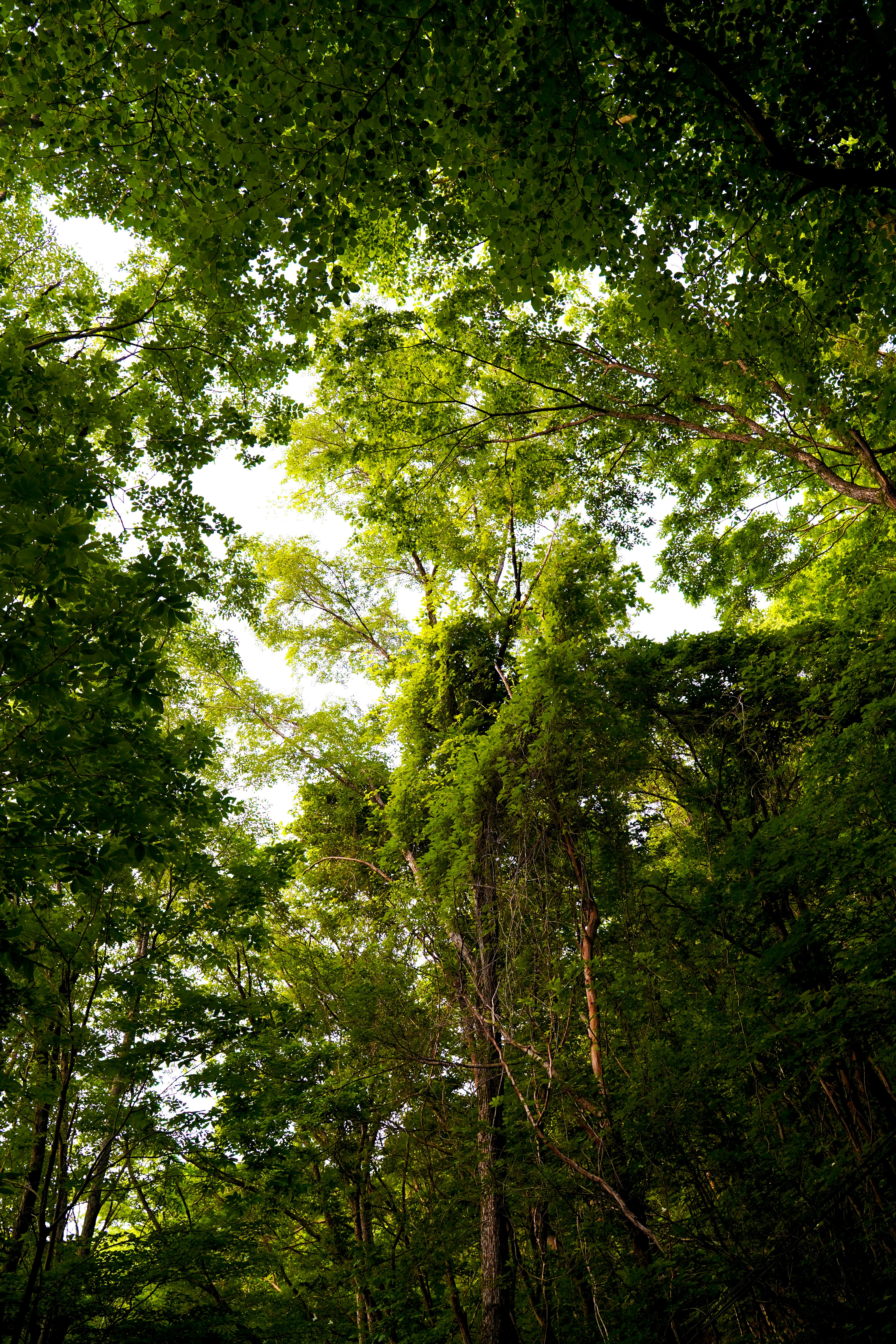 Photo by verf_leechaewon