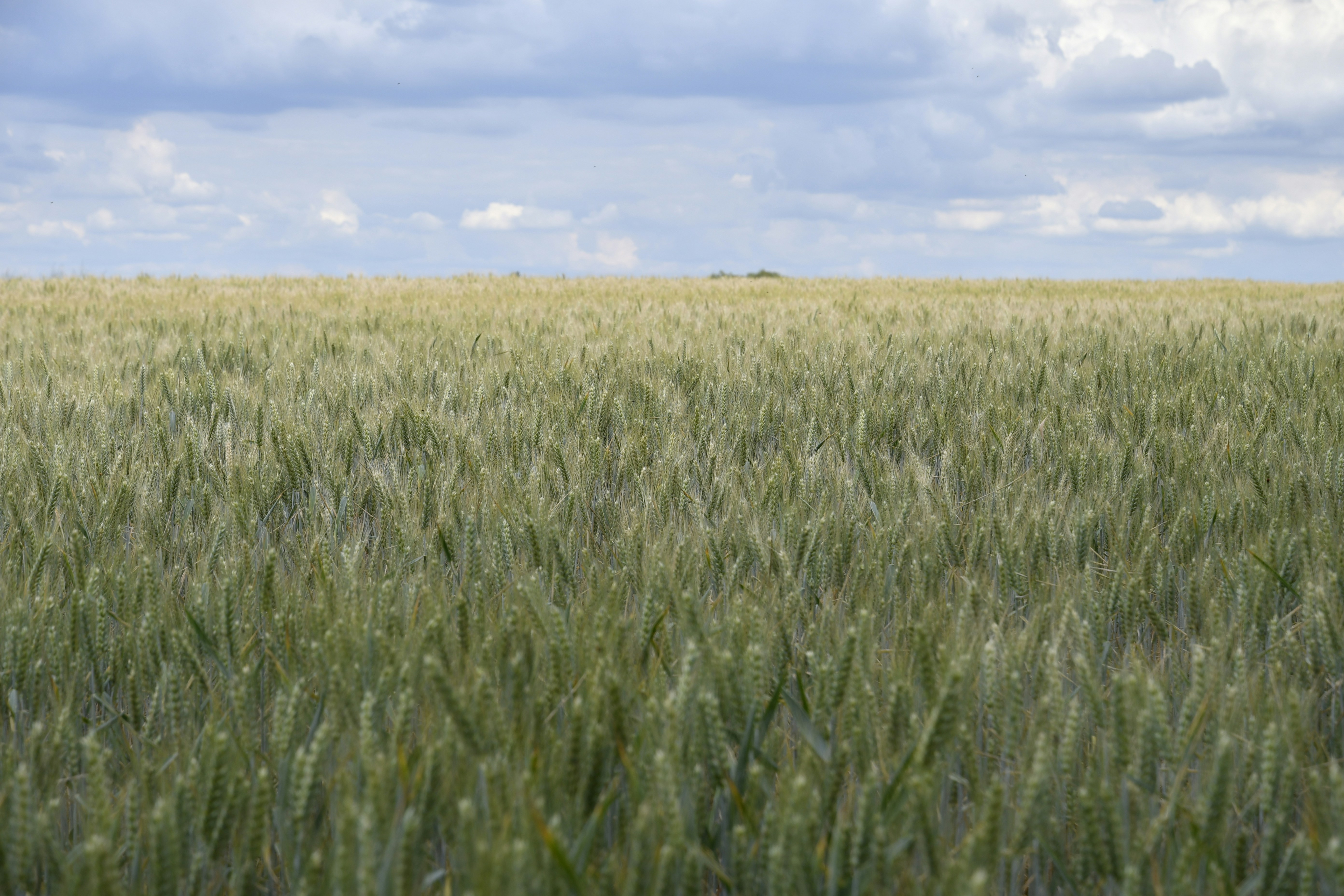 Photo by smallcamerabigpictures