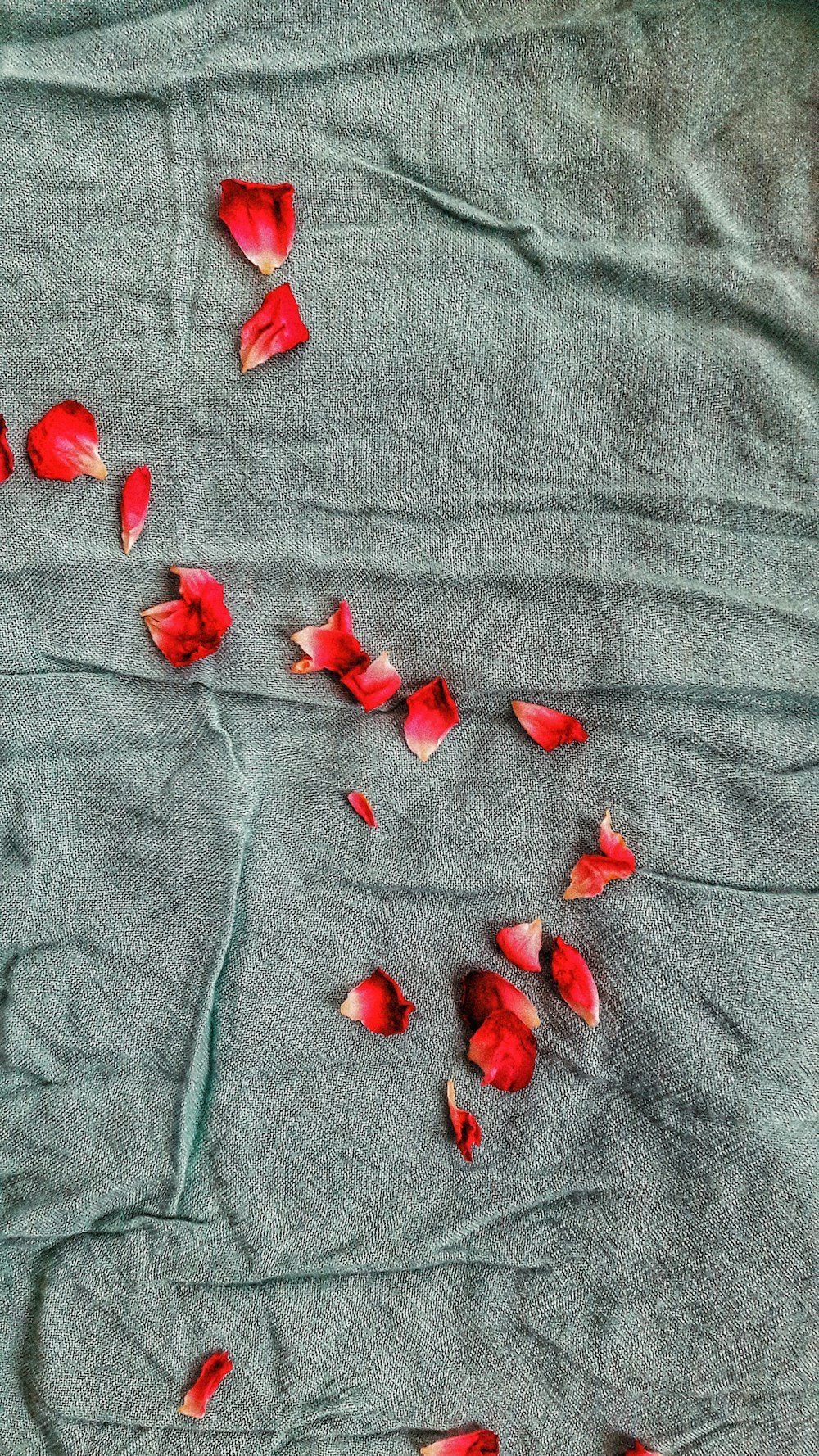 red petals on gray textile