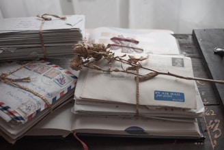 white and blue book on white paper