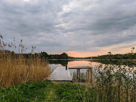 white wooden dock on lake under cloudy sky during daytime in Gmina Świętajno Poland