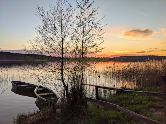 brown wooden fence near body of water during sunset in Gmina Piecki Poland