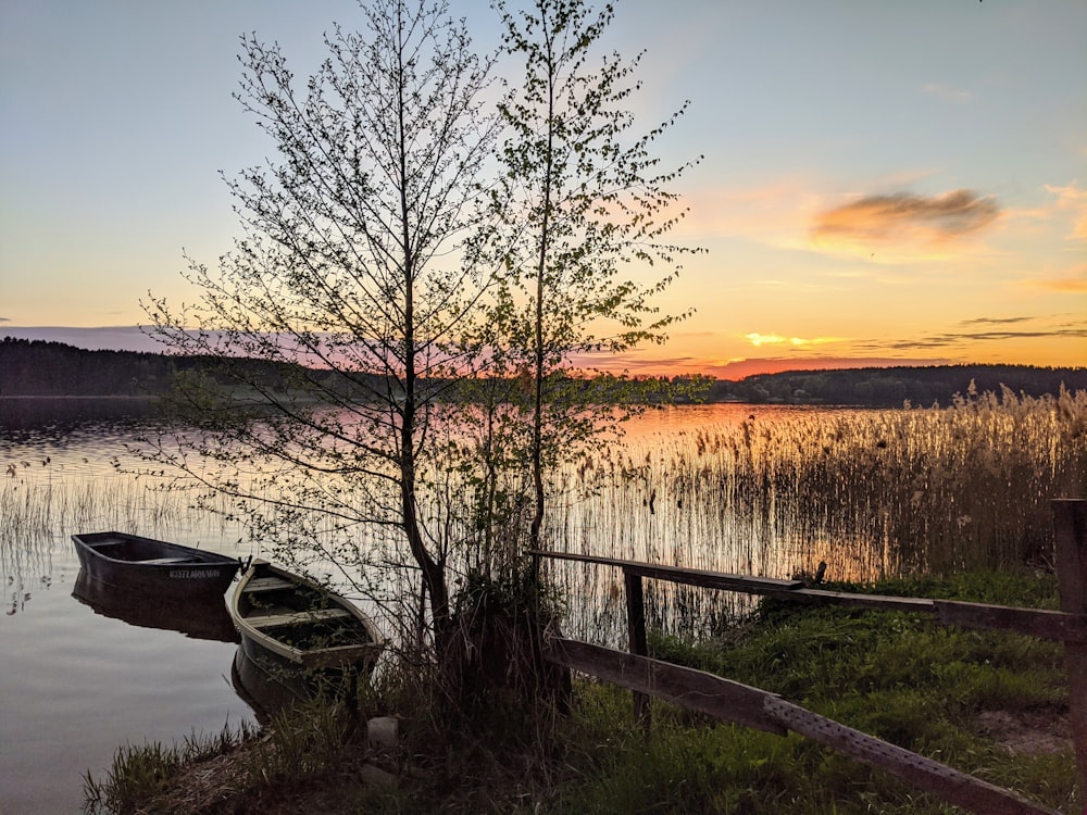 brown wooden fence near body of water during sunset