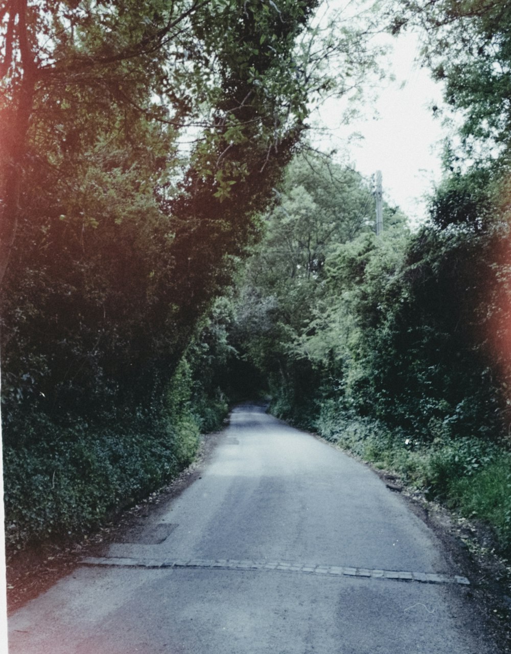 gray concrete road between green trees during daytime