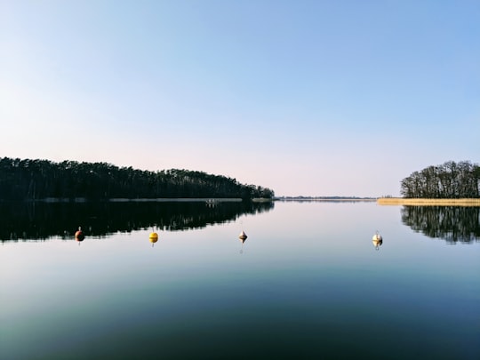 body of water near trees during daytime in Gmina Mikołajki Poland