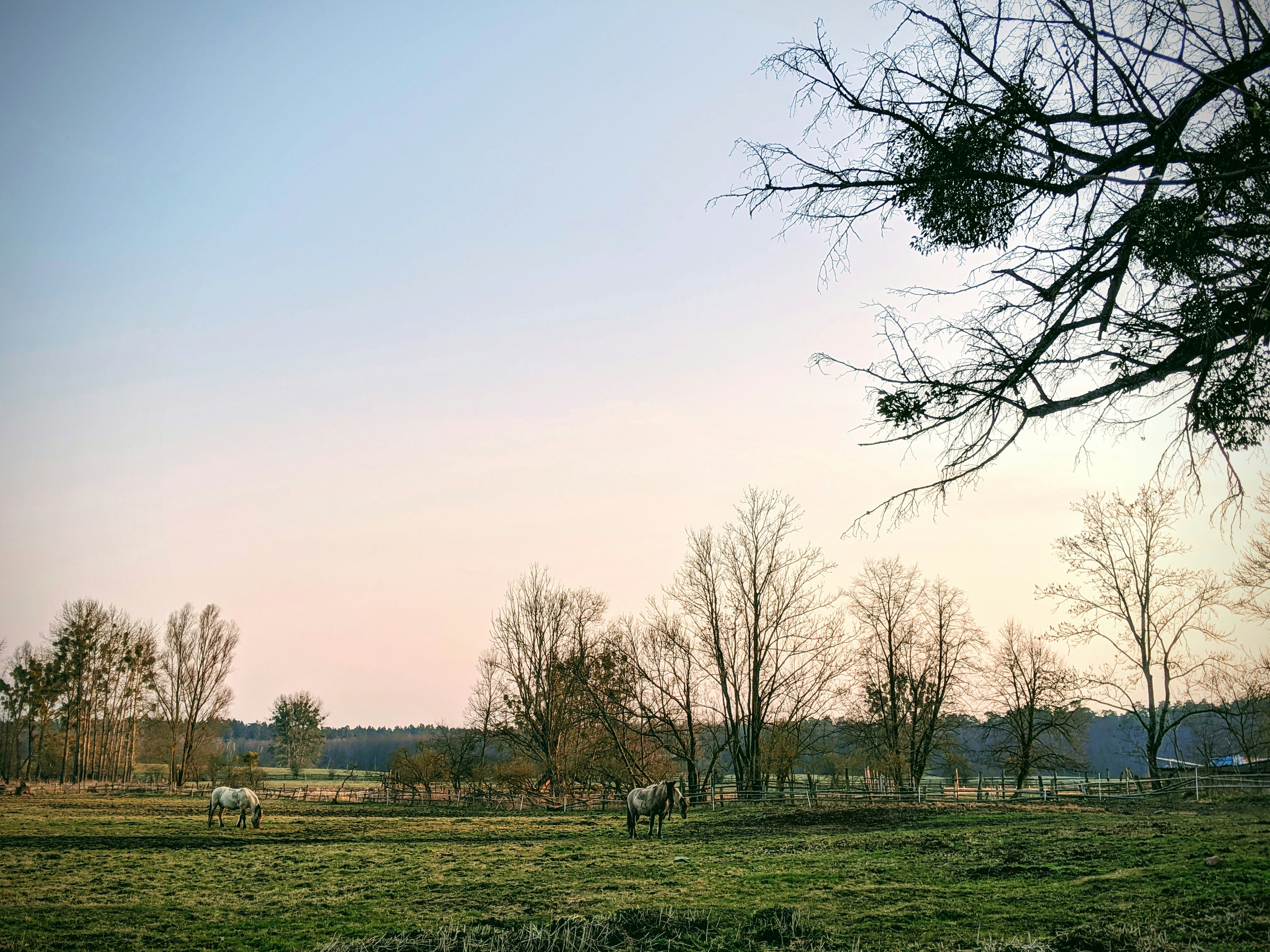 Photo by justynajuza