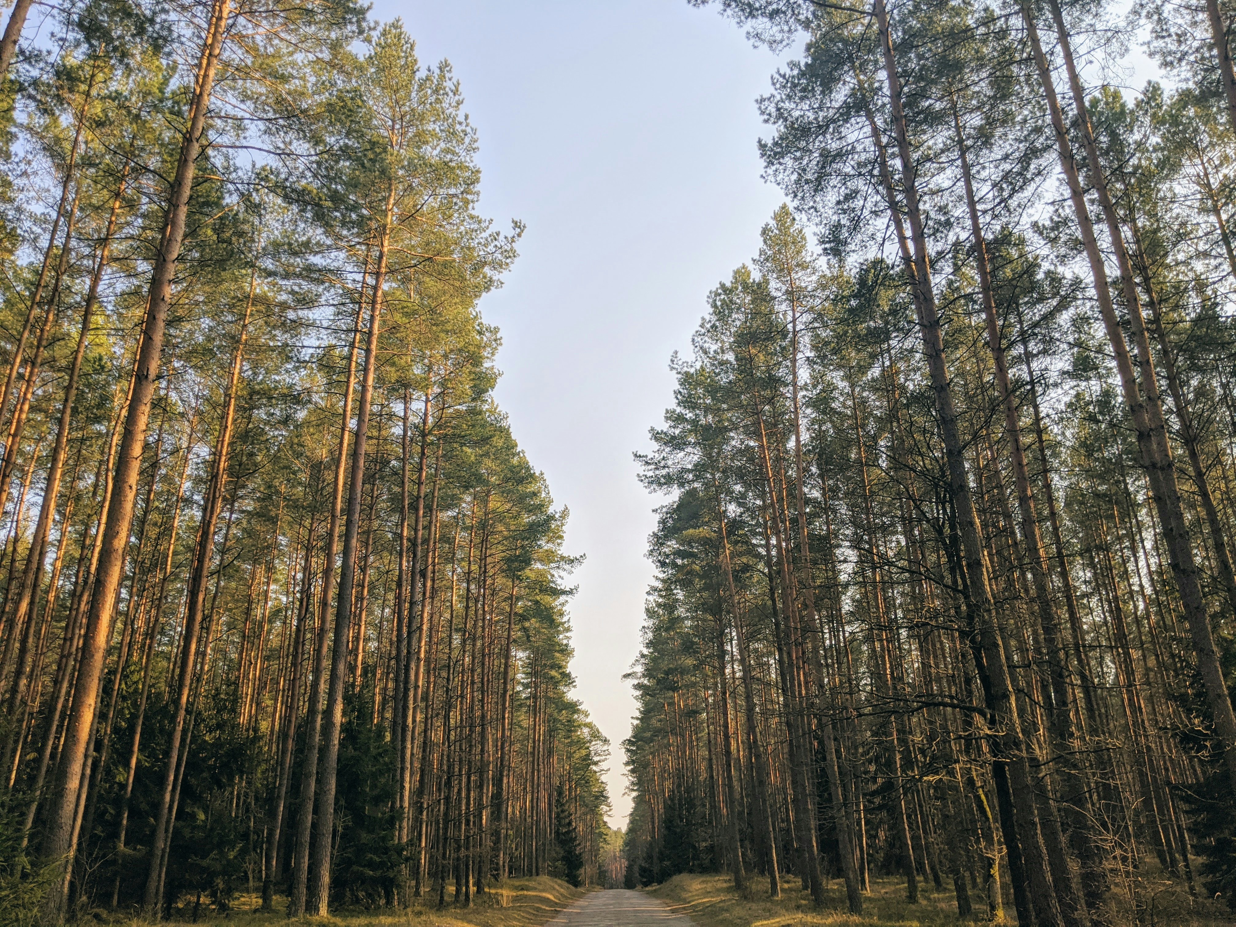 Photo by justynajuza