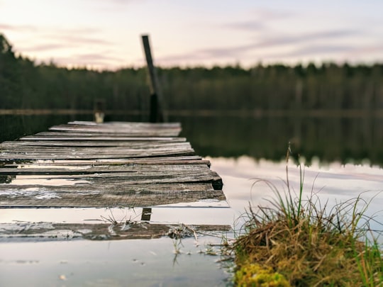 brown wooden dock on lake during daytime in Gmina Ruciane-Nida Poland