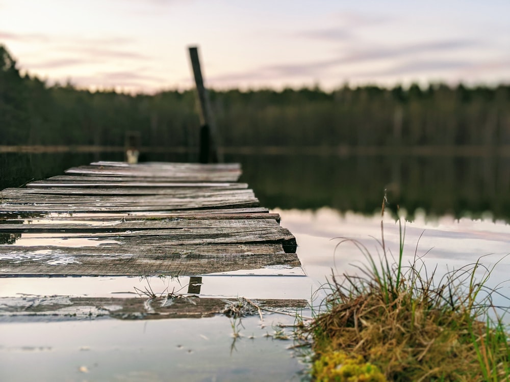 brown wooden dock on lake during daytime