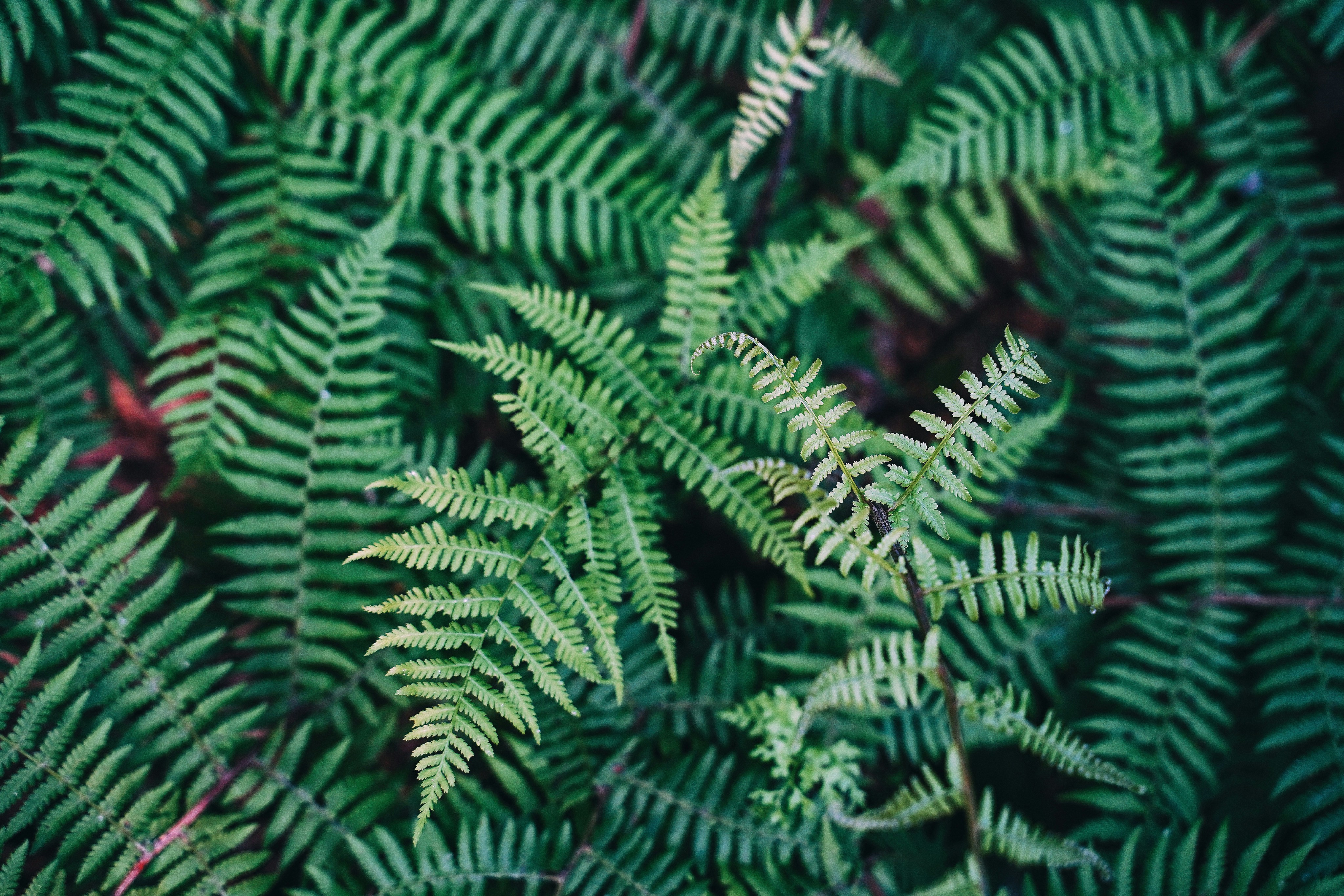 Photo by verf_leechaewon