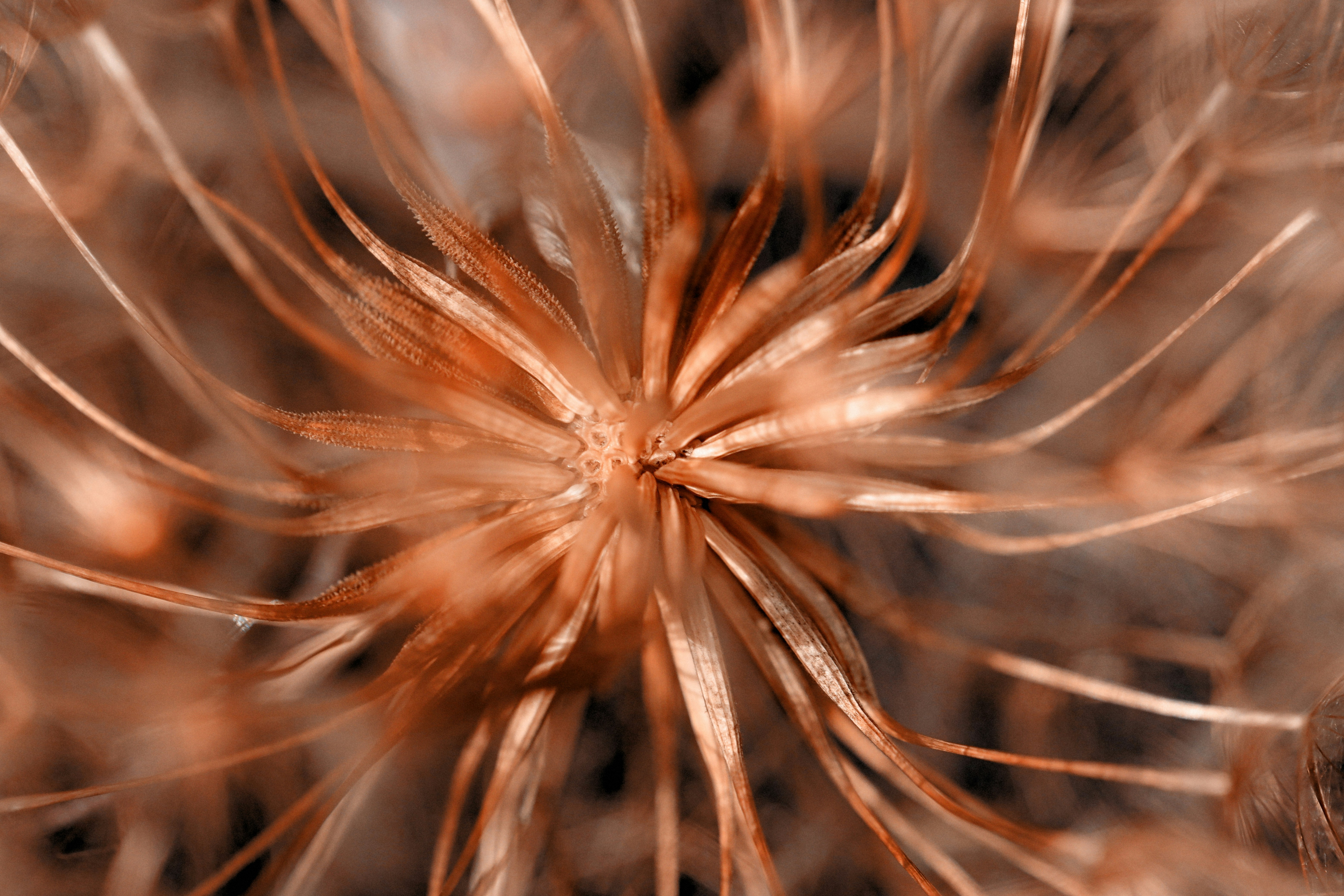 Photo by grievek1610begur