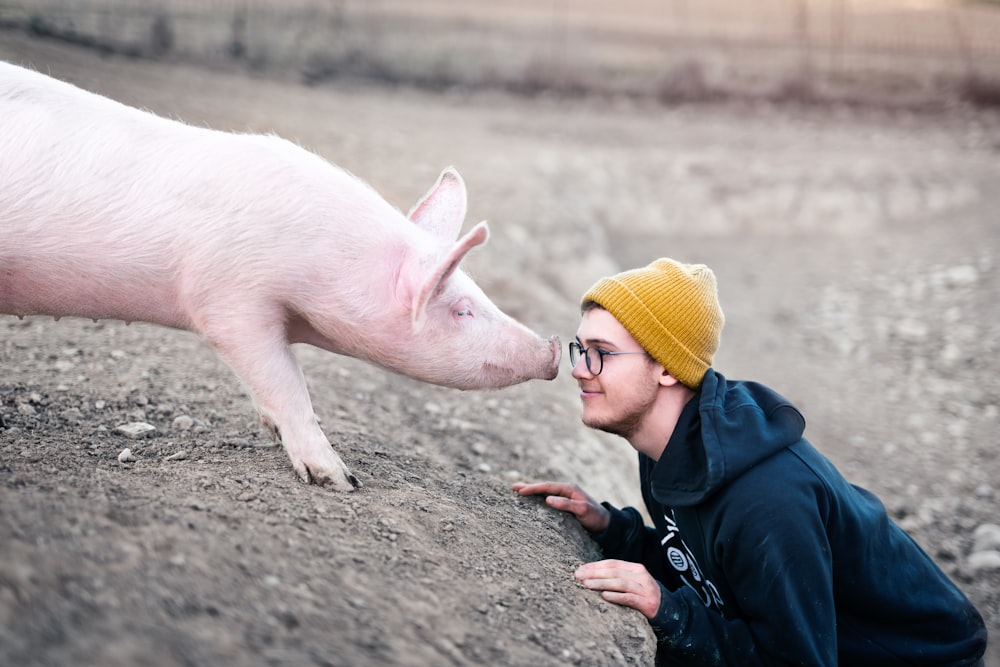 white pig with yellow knit cap