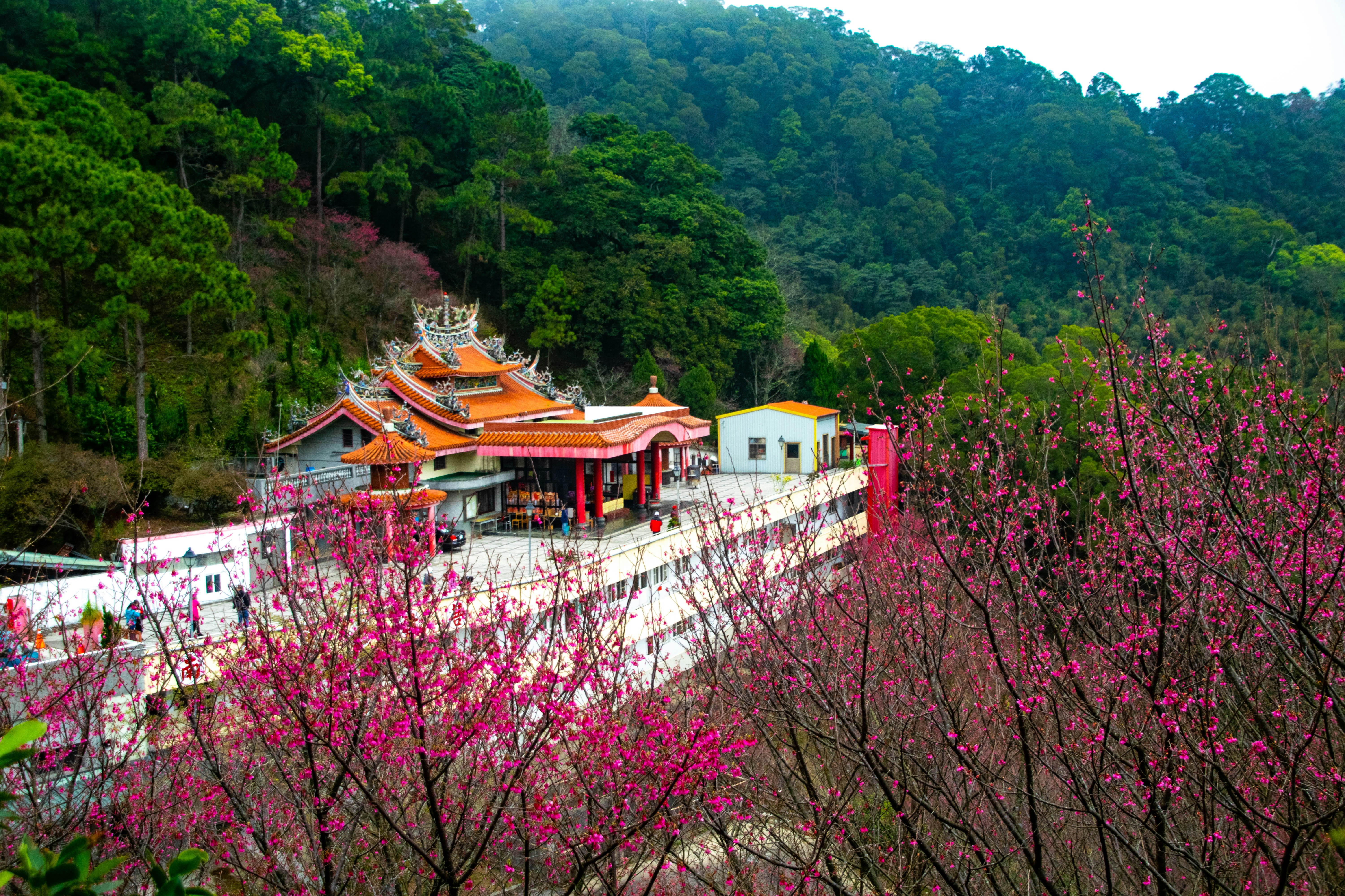 昼間は木々に囲まれた白と茶色のコンクリートの建物
