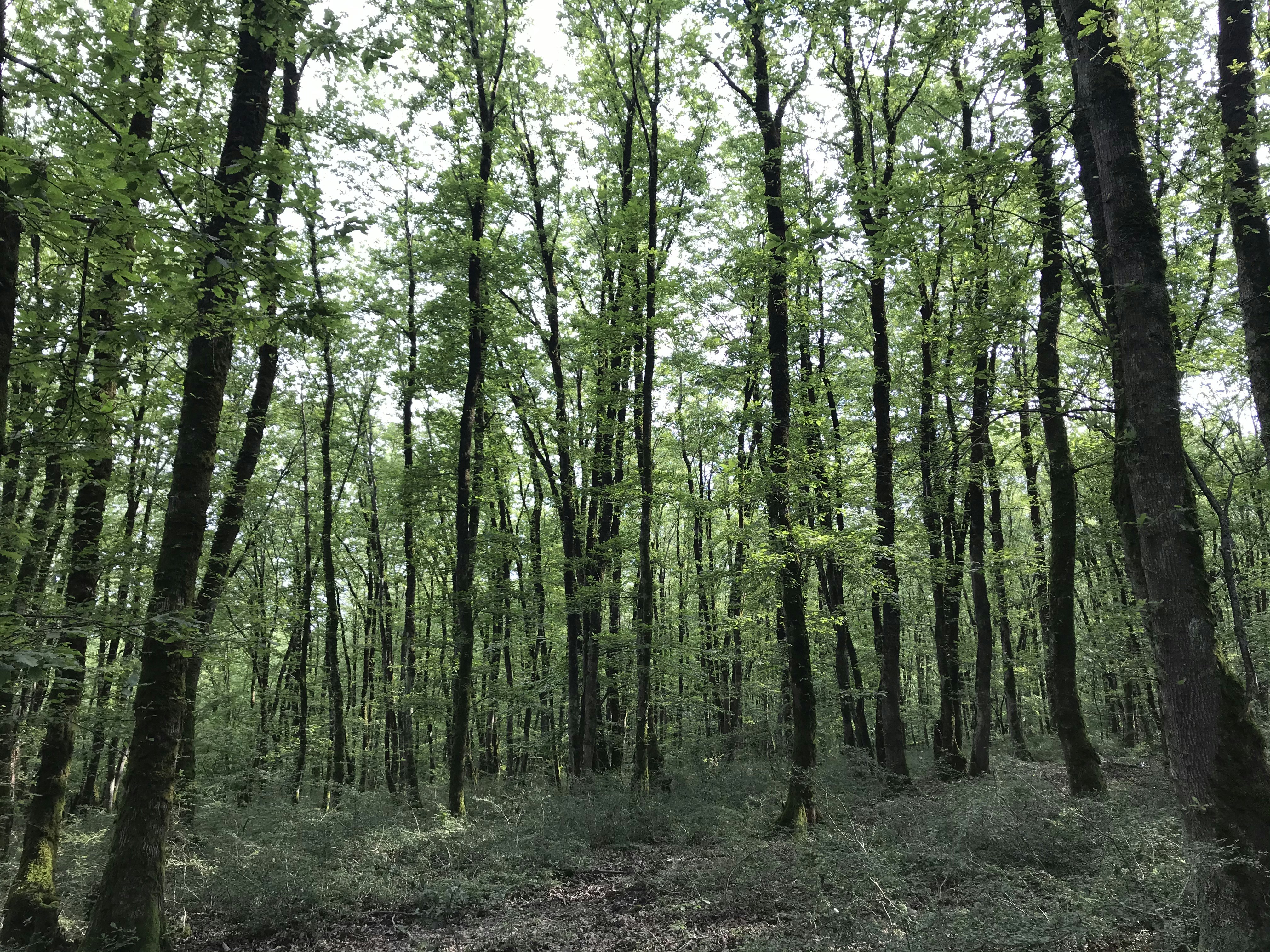 Photo by fatemehalizadeh_