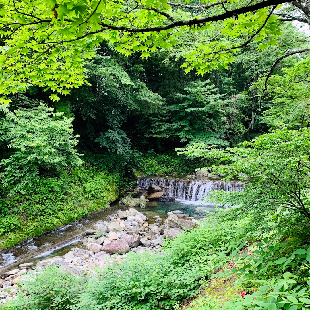 photo of Kanuma Forest near Kinugawa Onsen