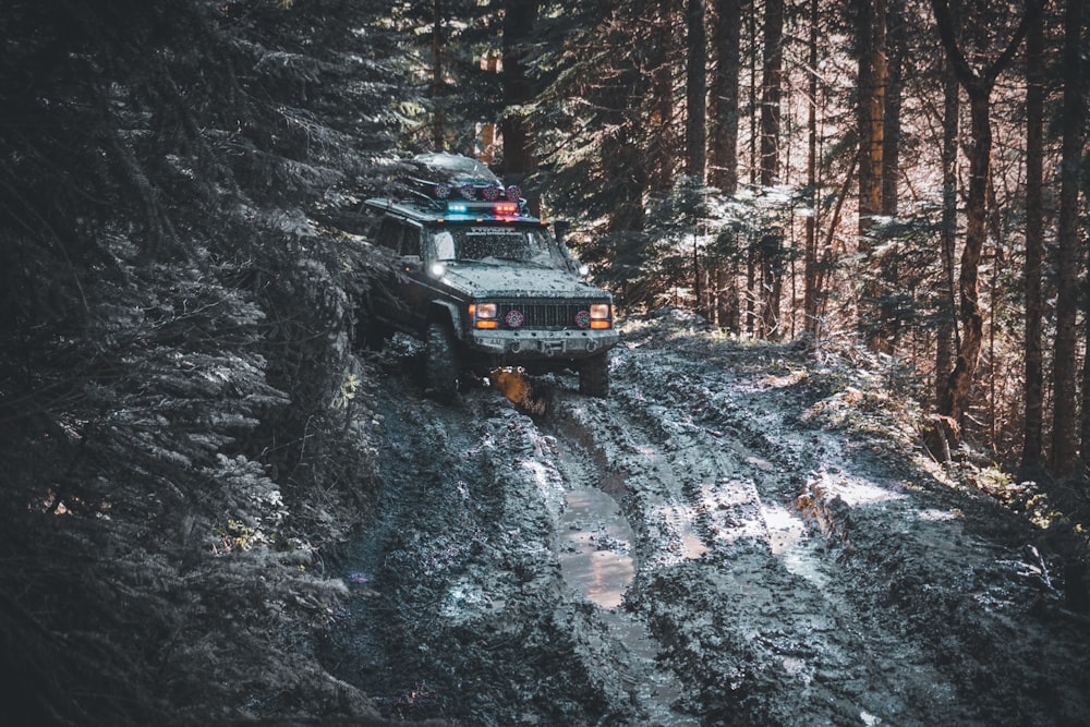 a truck driving through a forest filled with snow