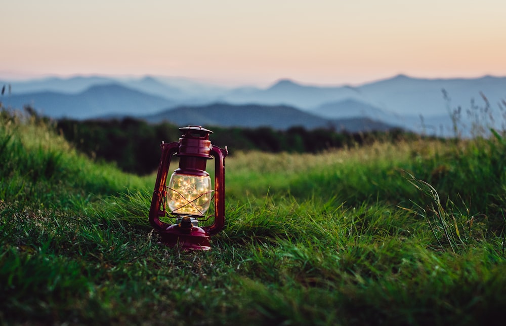 red and black lantern on green grass during daytime